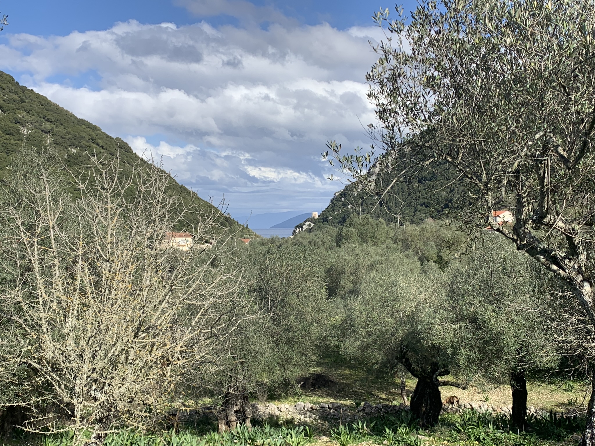 Landscape and terrain of land for sale Ithaca Greece, Frikes