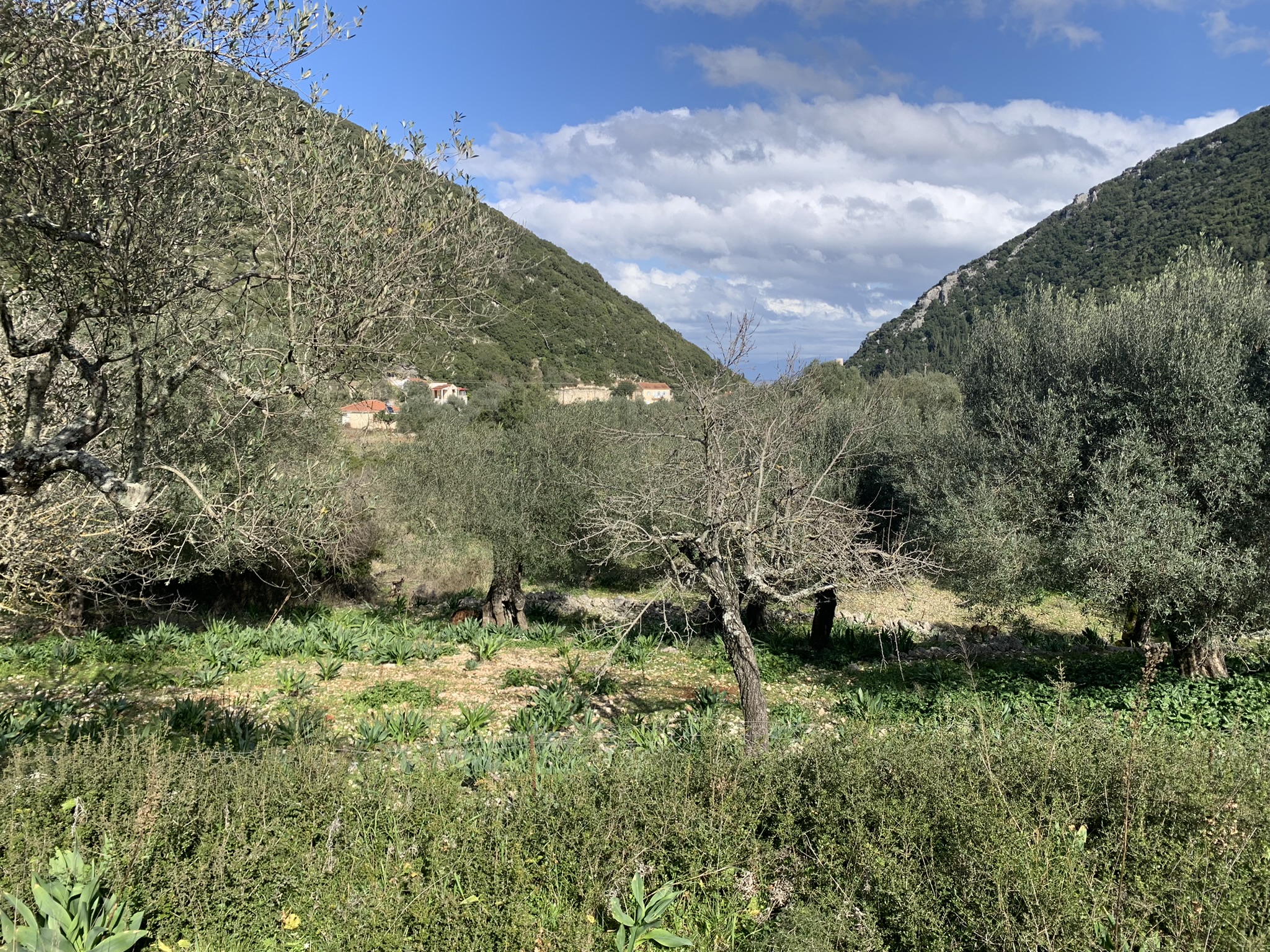Landscape and terrain of land for sale Ithaca Greece, Frikes