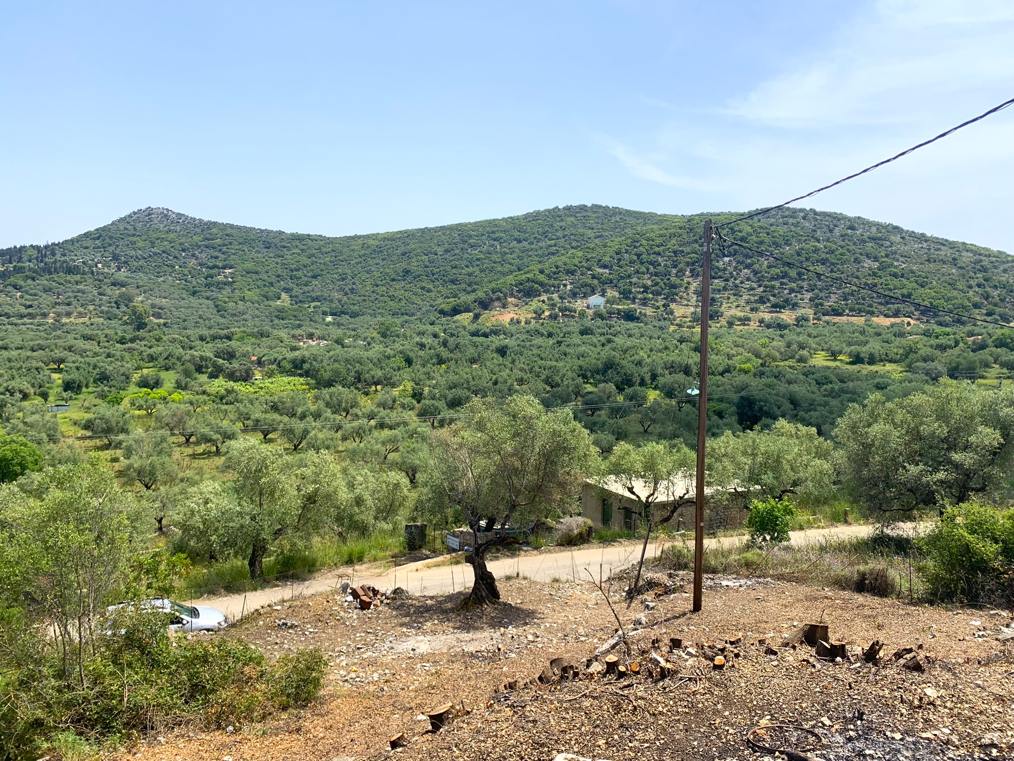 Landscape and terrain of land for sale on Ithaca Greece, Vathi