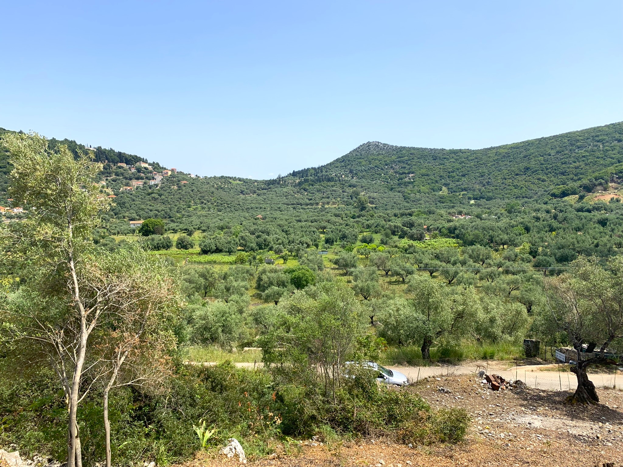 Landscape and terrain of land for sale on Ithaca Greece, Vathi