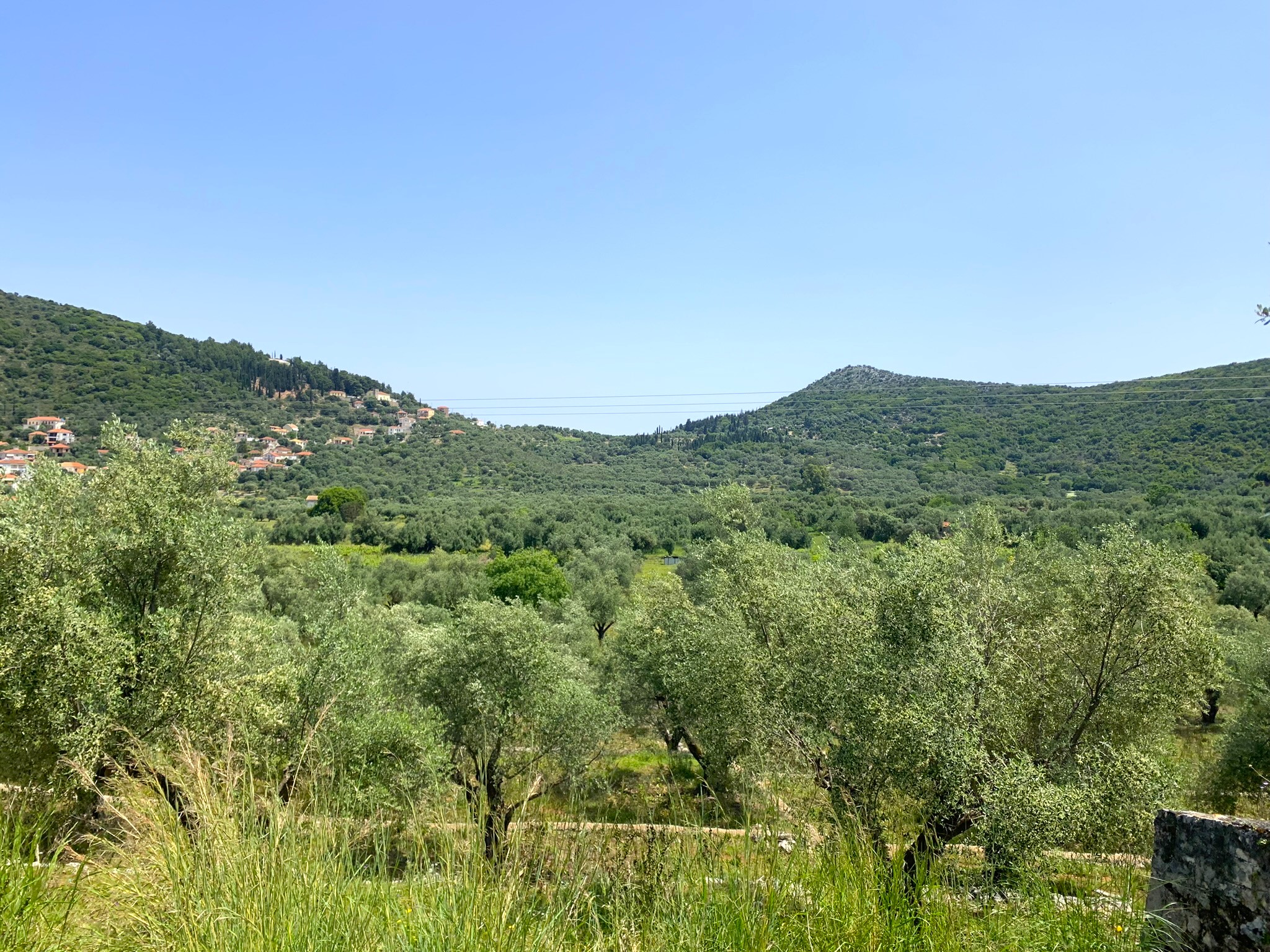 Landscape and terrain of land for sale on Ithaca Greece, Vathi