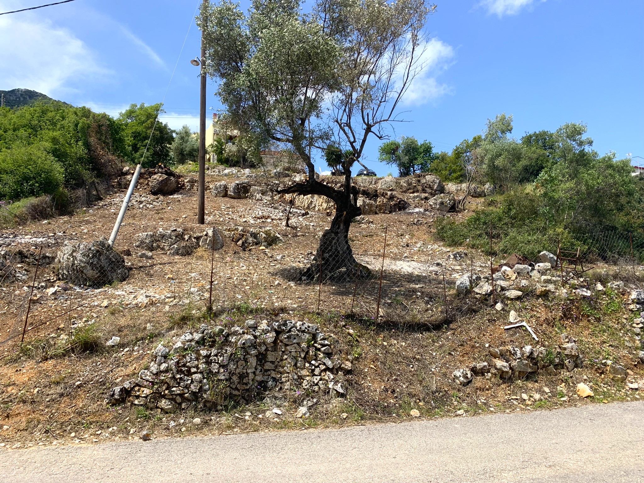 Landscape and terrain of land for sale on Ithaca Greece, Vathi