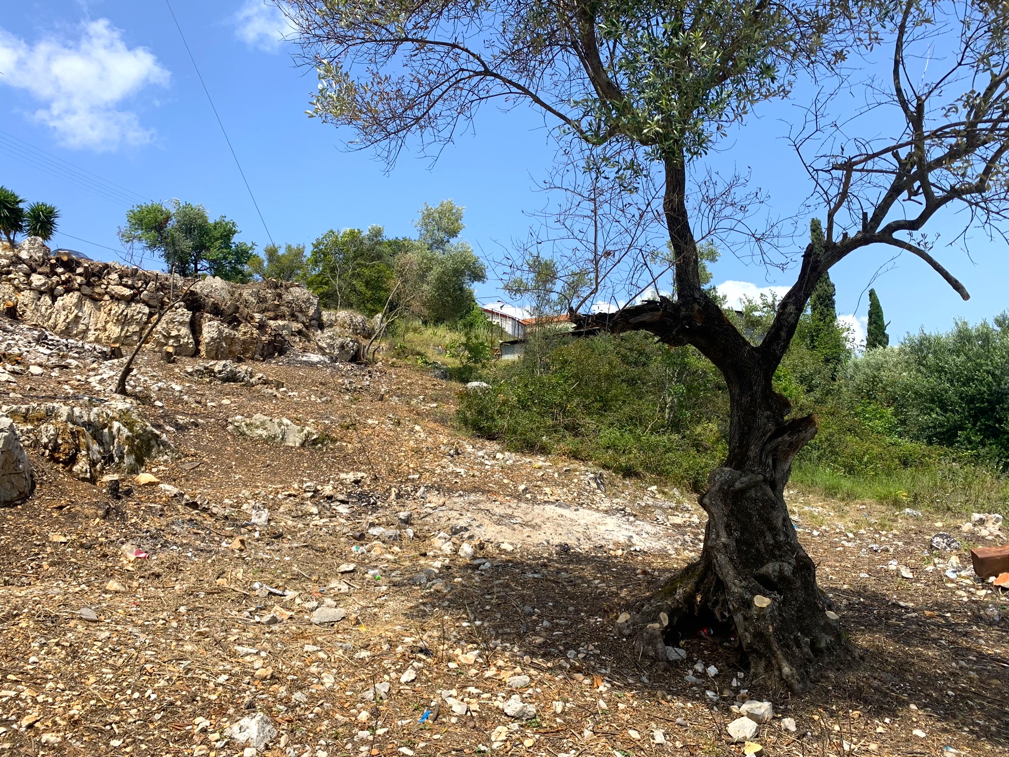 Landscape and terrain of land for sale on Ithaca Greece, Vathi