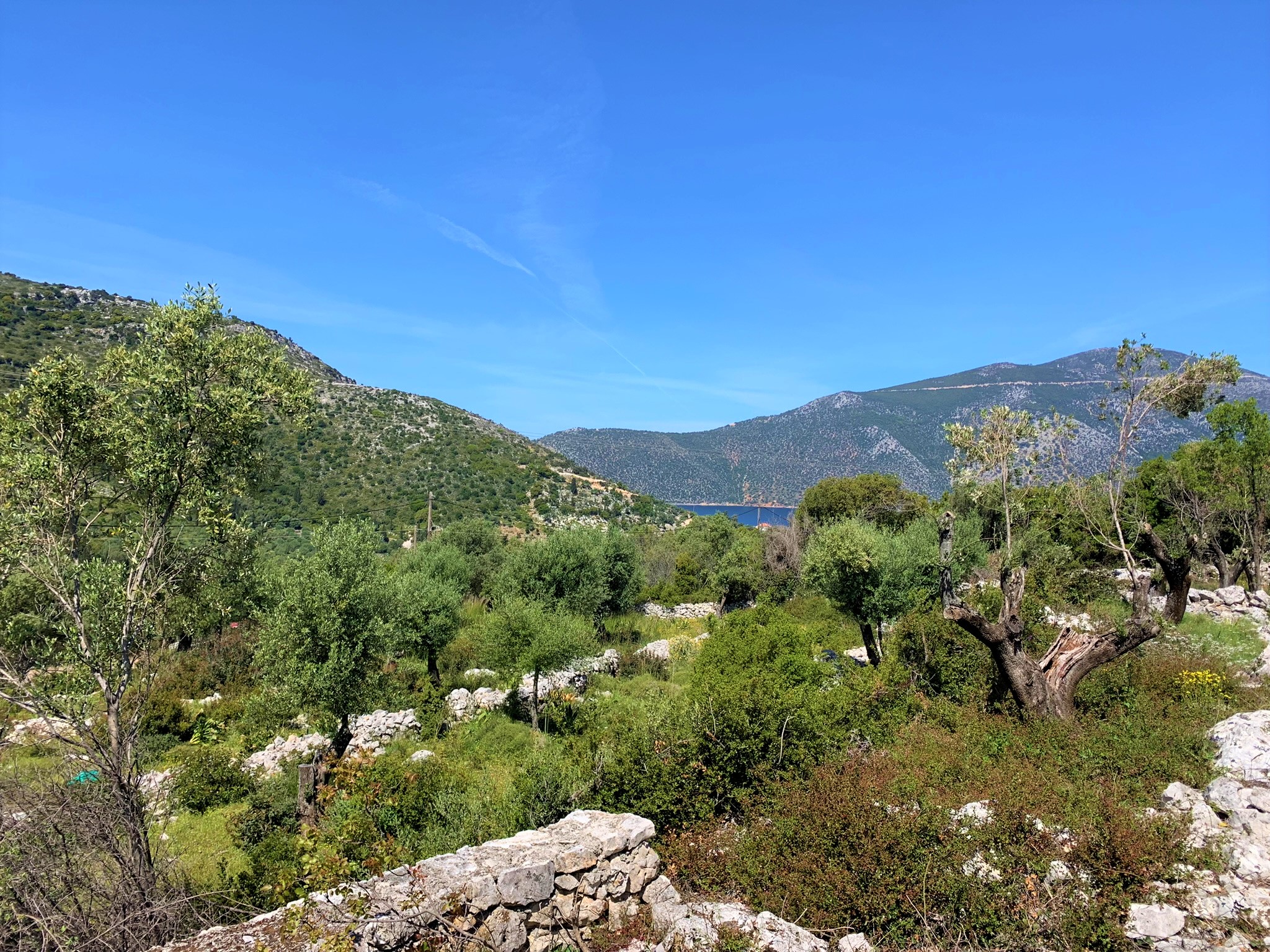 Terrain and landscape of land for sale on Ithaca Greece, Vathi