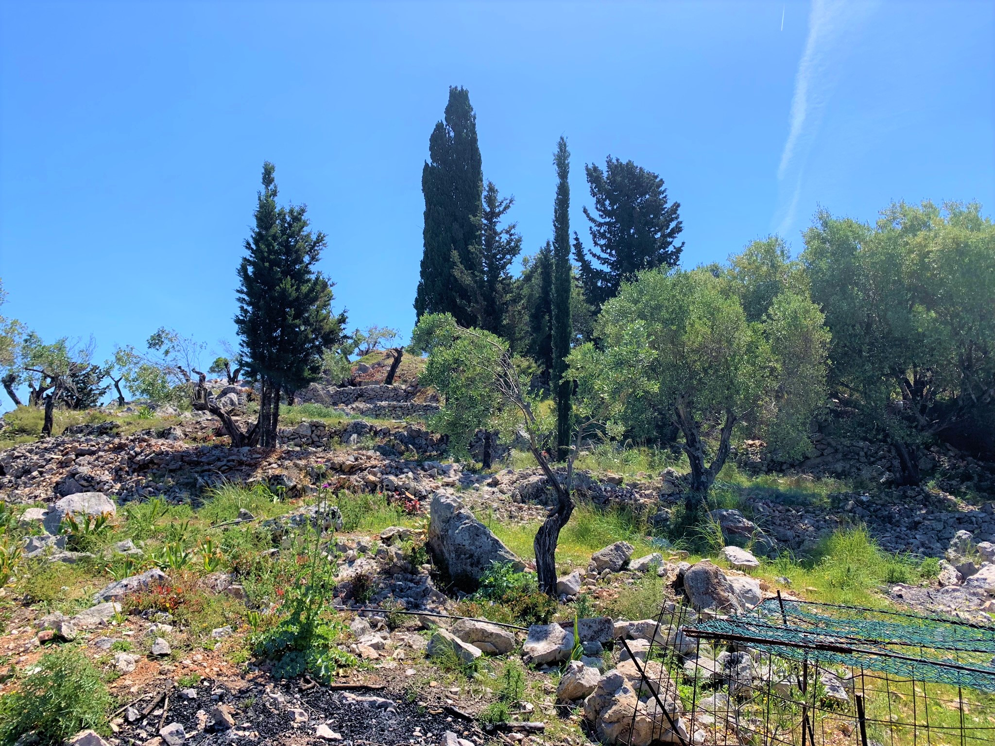 Terrain and landscape of land for sale on Ithaca Greece, Vathi