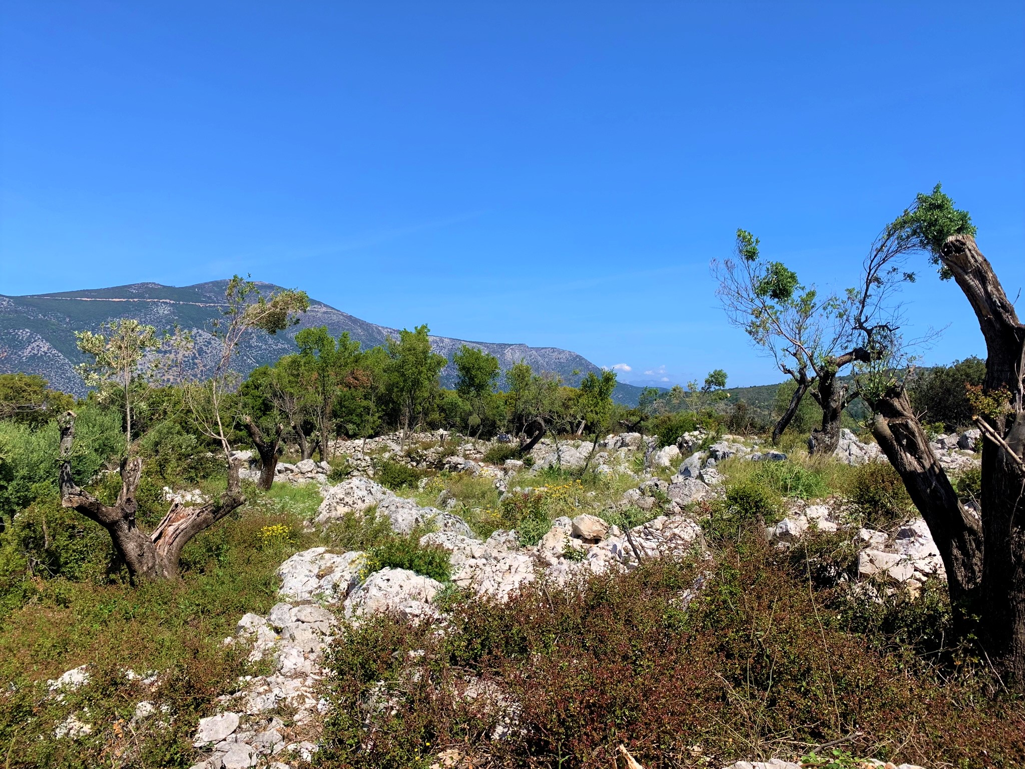Terrain and landscape of land for sale on Ithaca Greece, Vathi