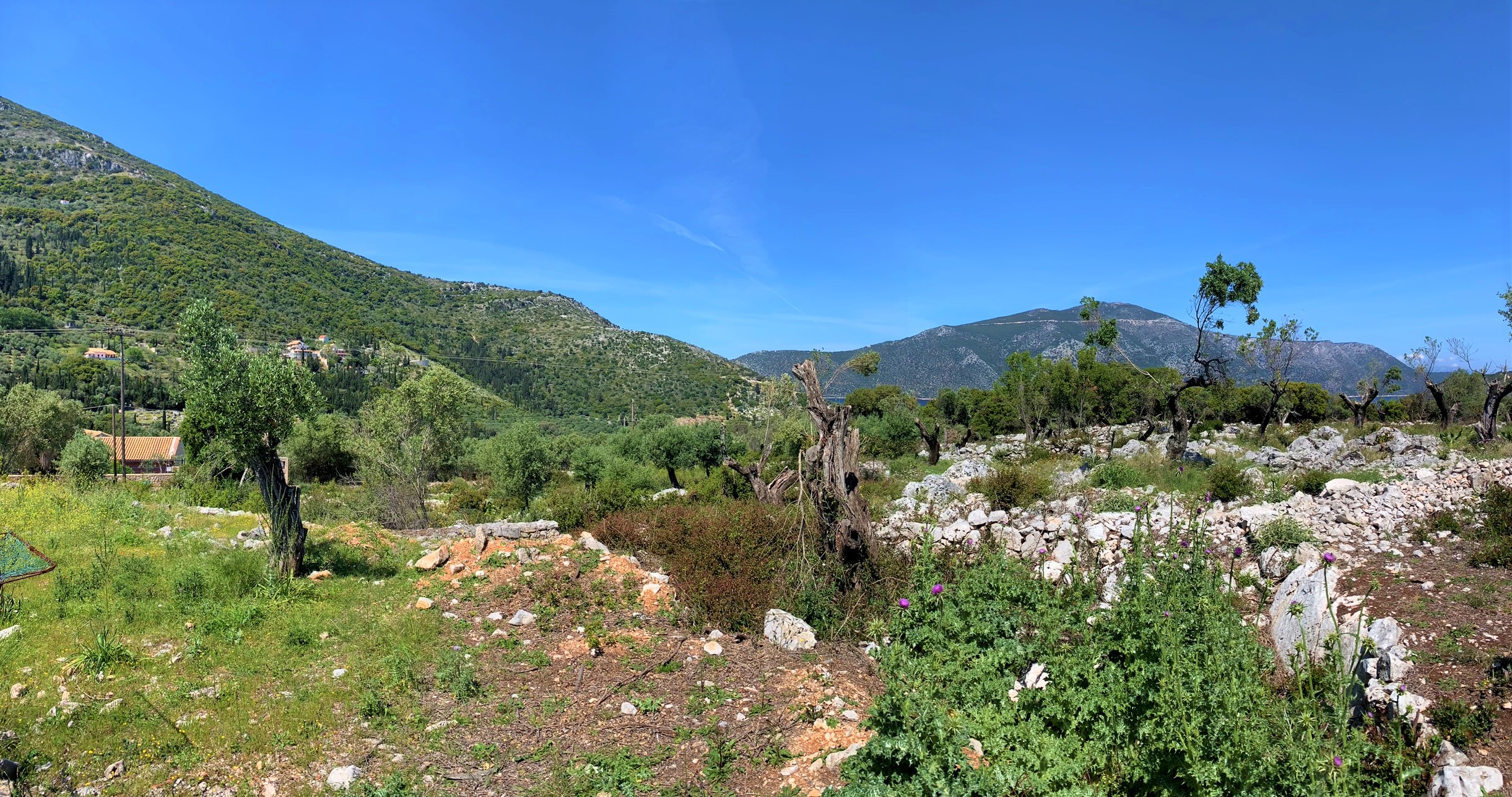 Terrain and landscape of land for sale on Ithaca Greece, Vathi