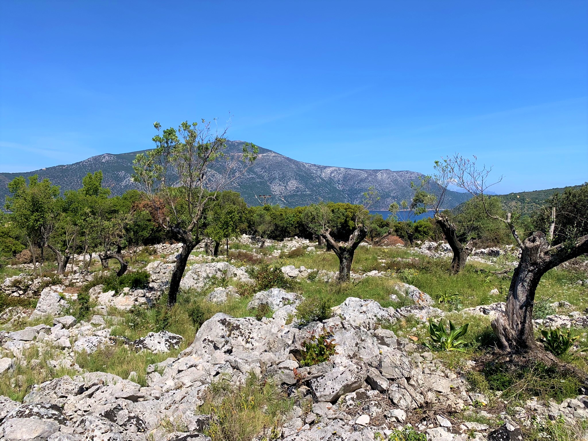 Terrain and landscape of land for sale on Ithaca Greece, Vathi