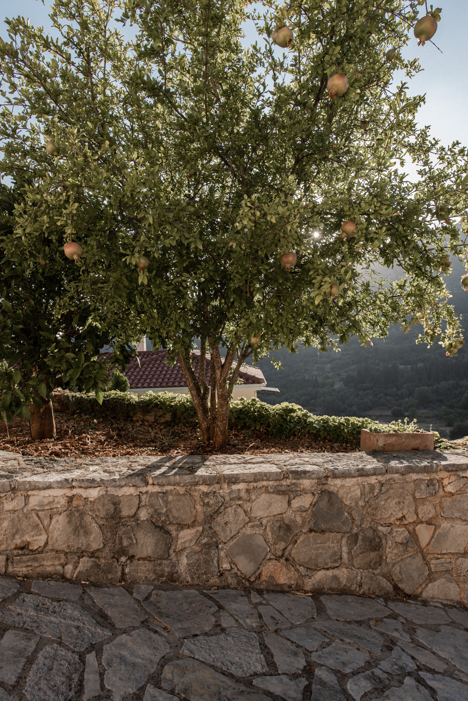 Outdoor area of villa for rent on Ithaca Greece, Stavros