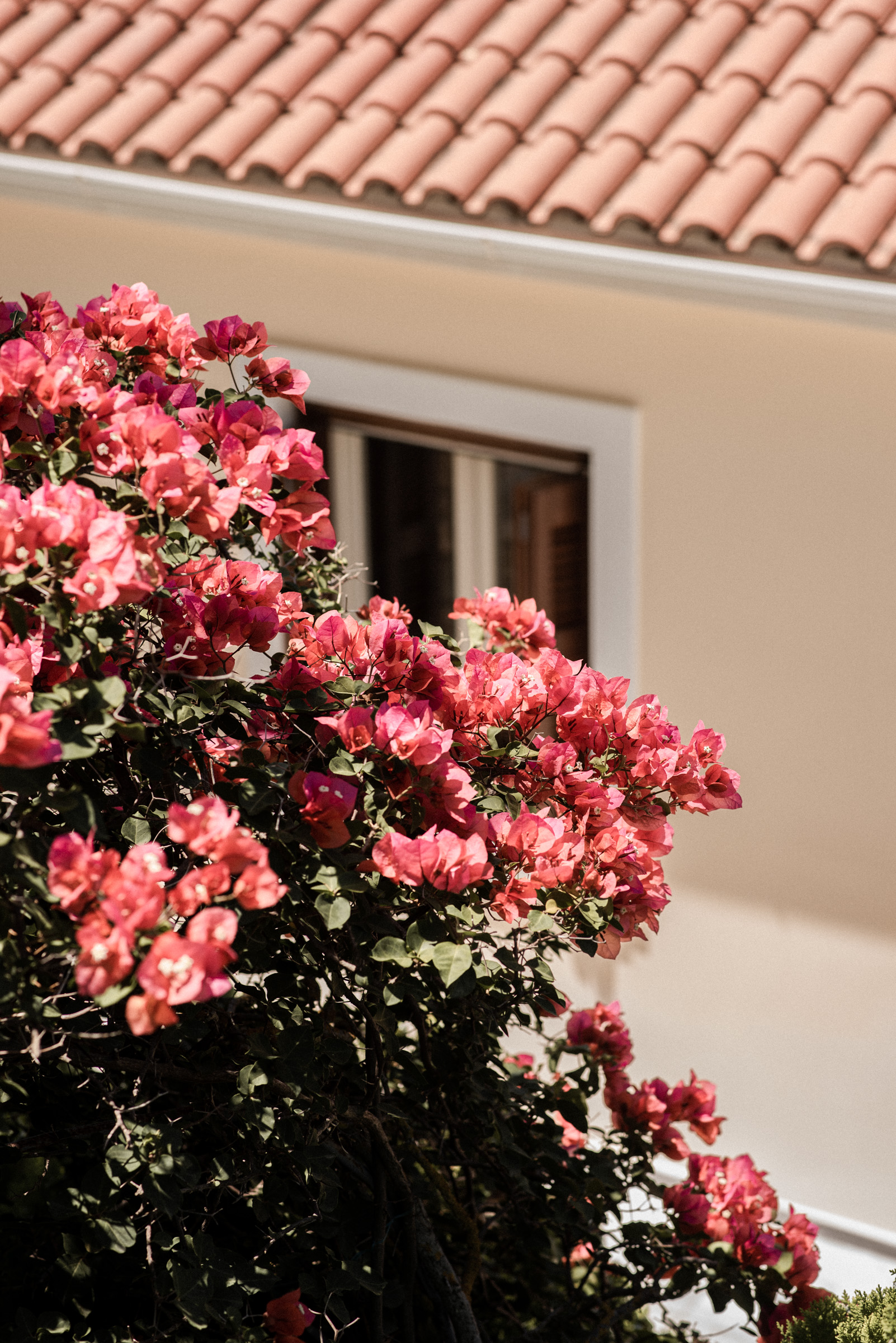 Exterior of villa for rent on Ithaca Greece, Stavros