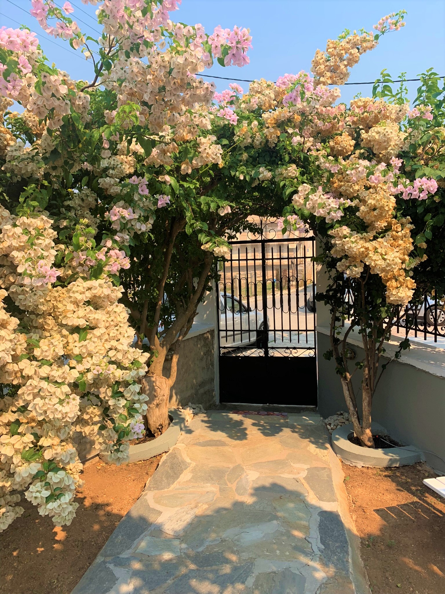 Pathway to the gate of house for sale on Ithaca Greece, Vathi