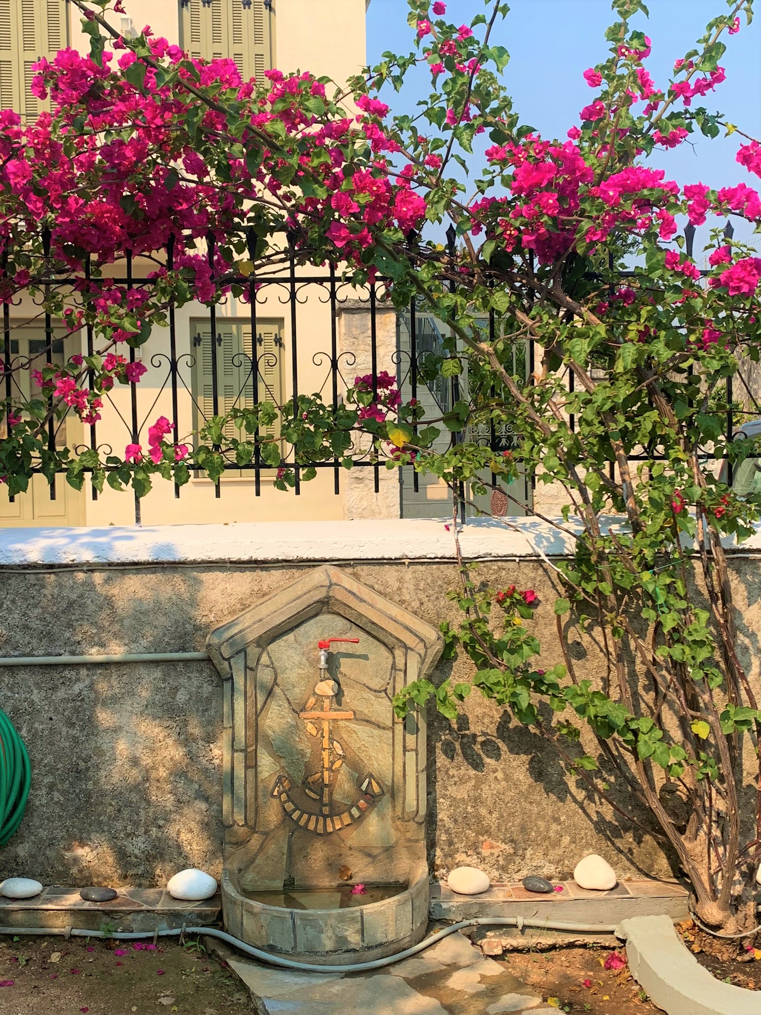 Flower detail and water faucet of house for sale on Ithaca Greece, Vathi
