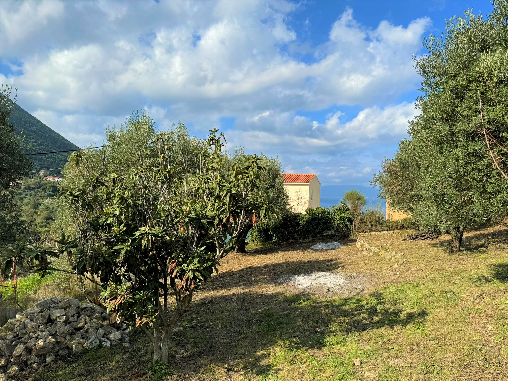 Garden views of house for sale in Ithaca Greece, Platrithya