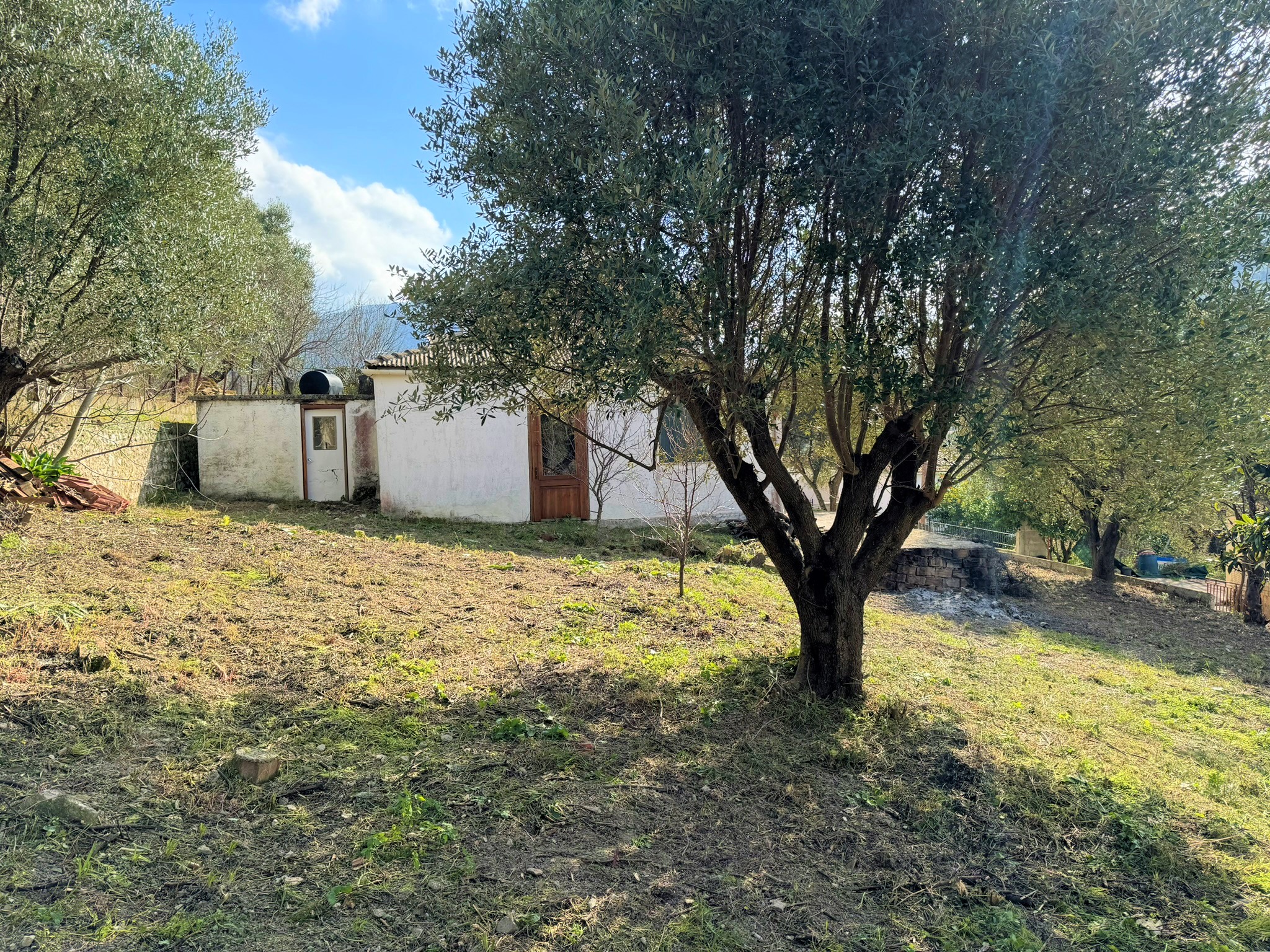 Garden and house for sale in Ithaca Greece, Platrithya