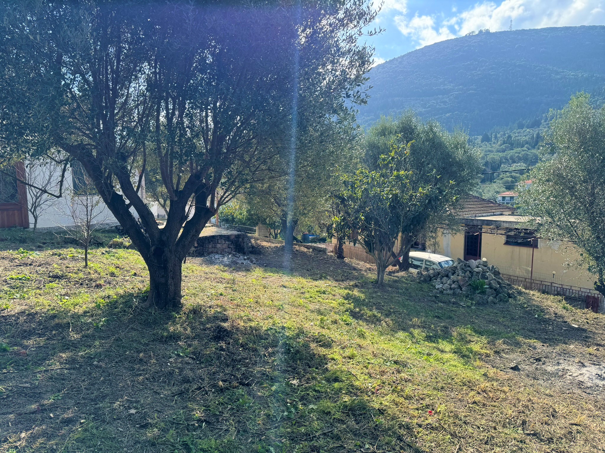 Garden of house for sale in Ithaca Greece, Platrithya