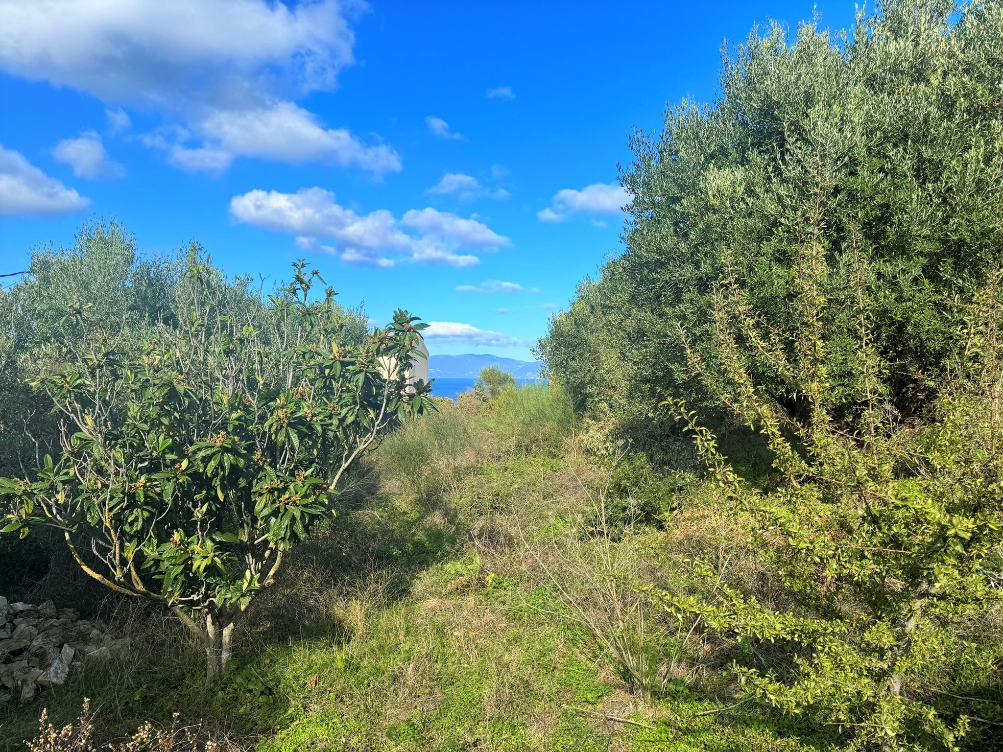 Views from house for sale in Ithaca Greece, Platrithya