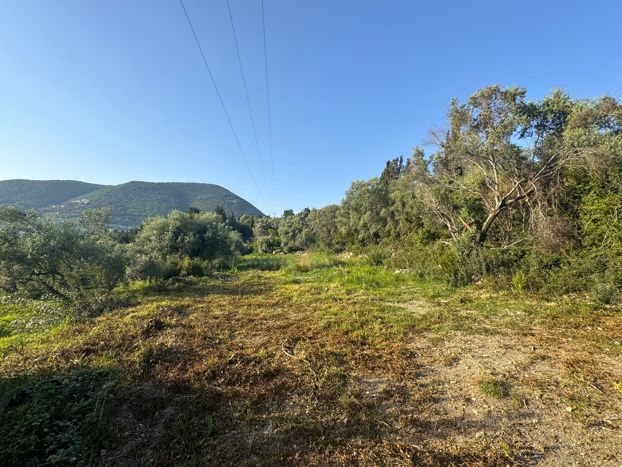 Landscape and terrain of land for sale in Ithaca Greece Pilikata