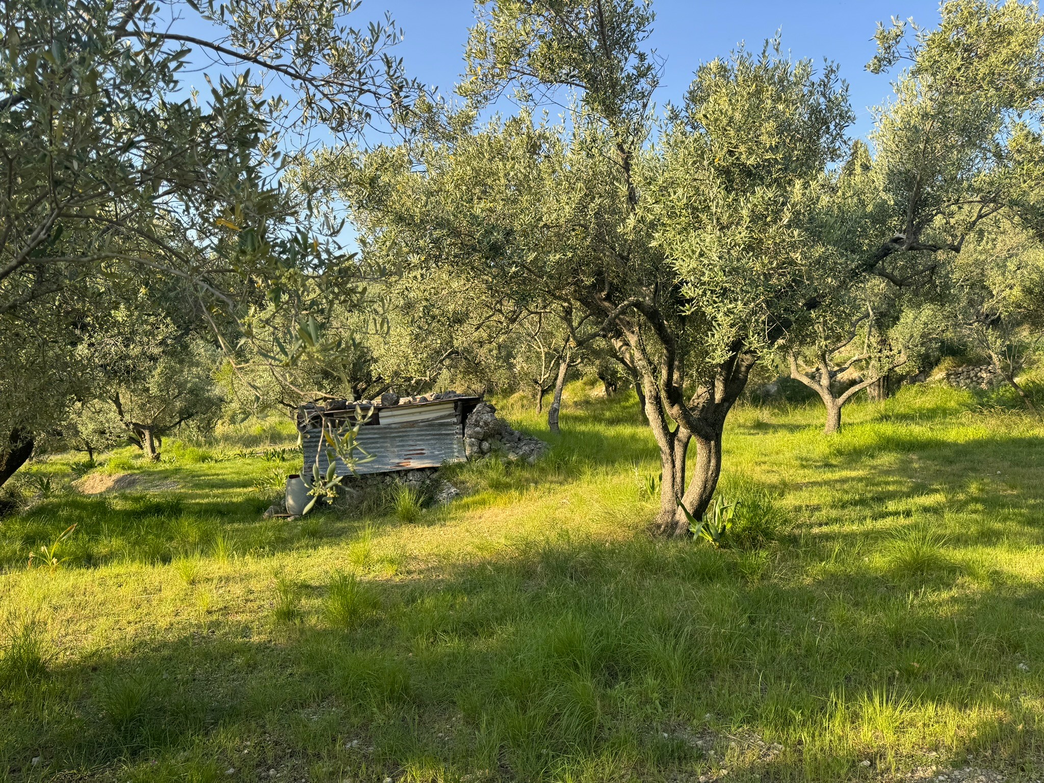 Landscape and terrain of land for sale in Ithaca Greece Pilikata