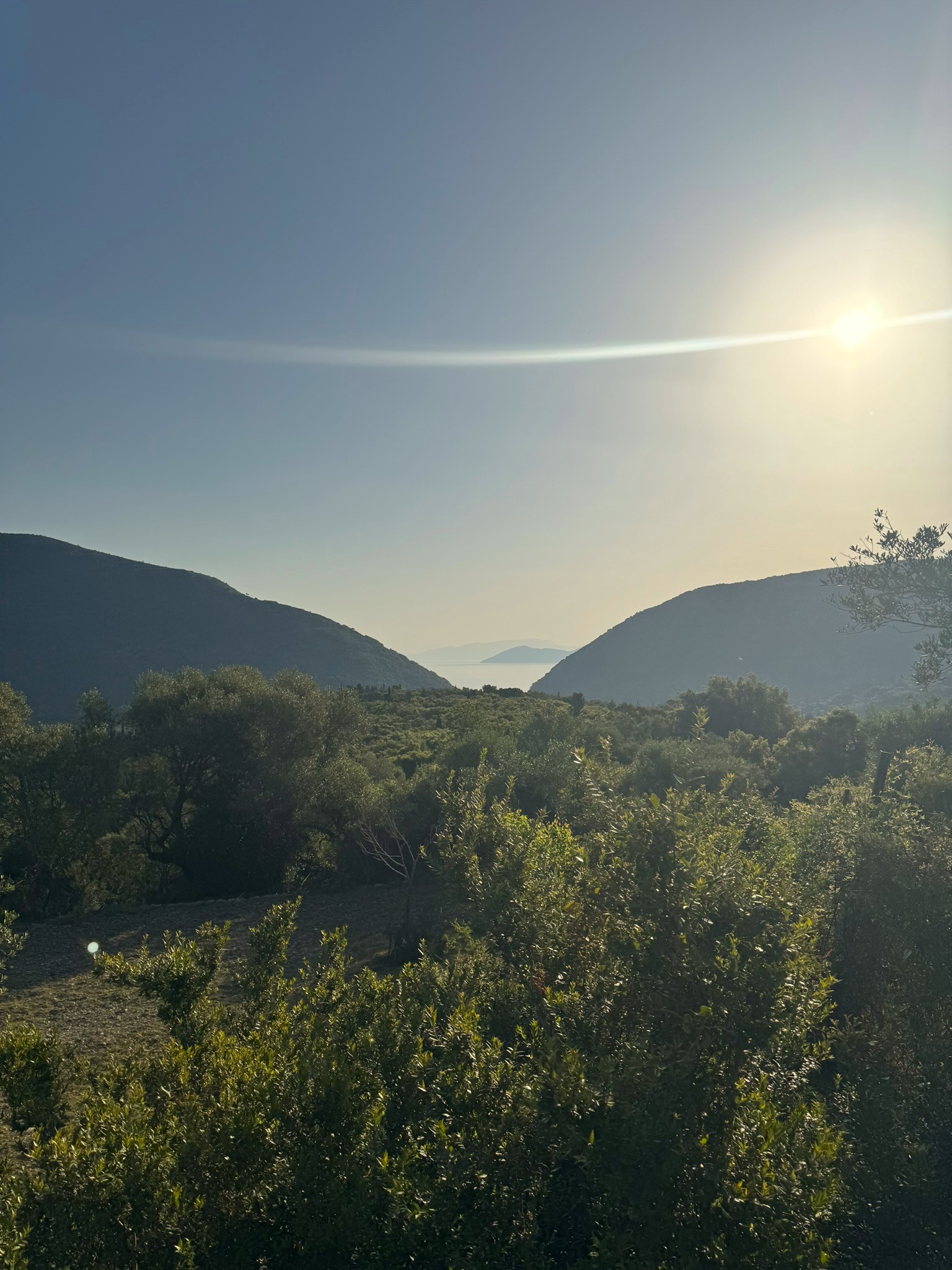 Landscape and sea view of land for sale in Ithaca Greece Pilikata