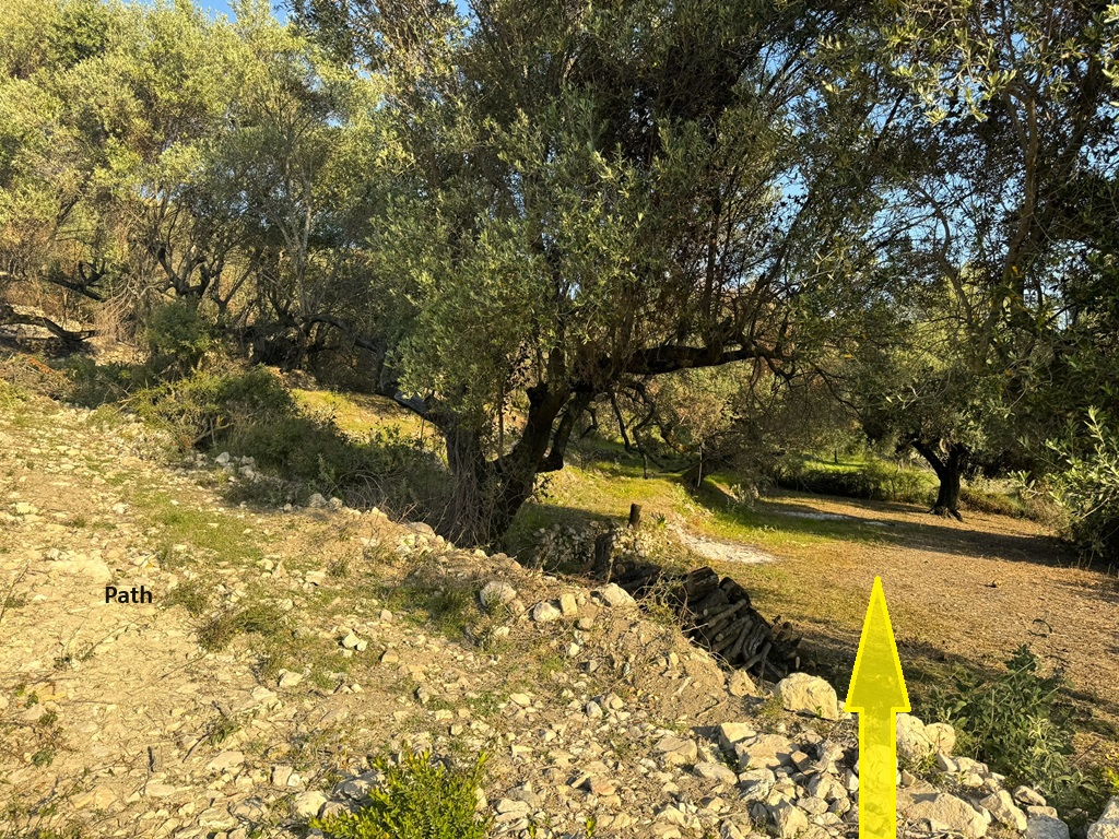 Public path and location of extra land for sale in Ithaca Greece Pilikata