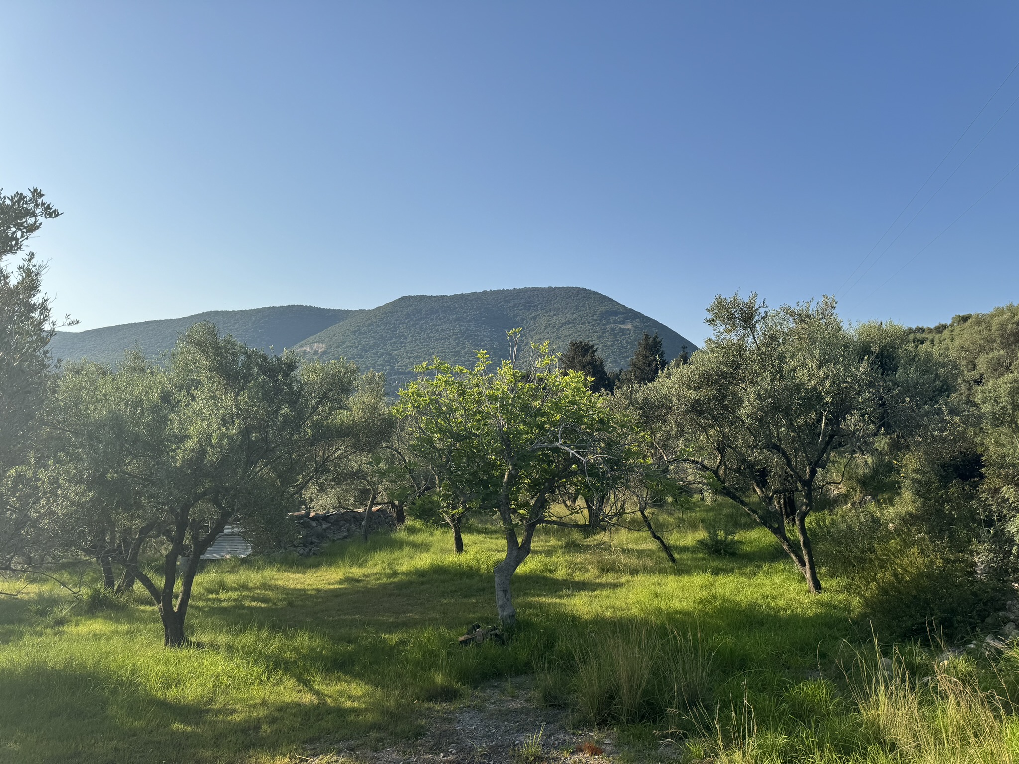 Landscape and terrain of land for sale in Ithaca Greece Pilikata