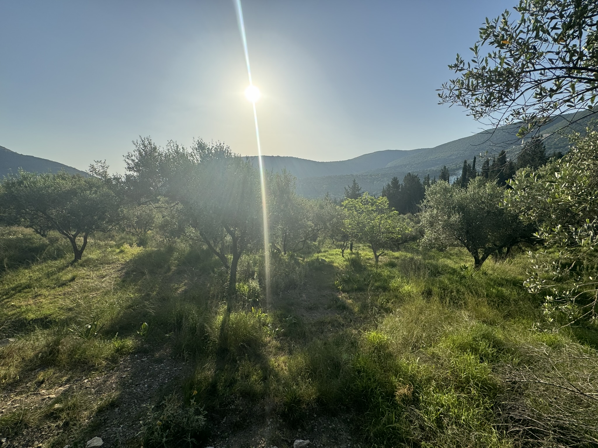Landscape and terrain of land for sale in Ithaca Greece Pilikata