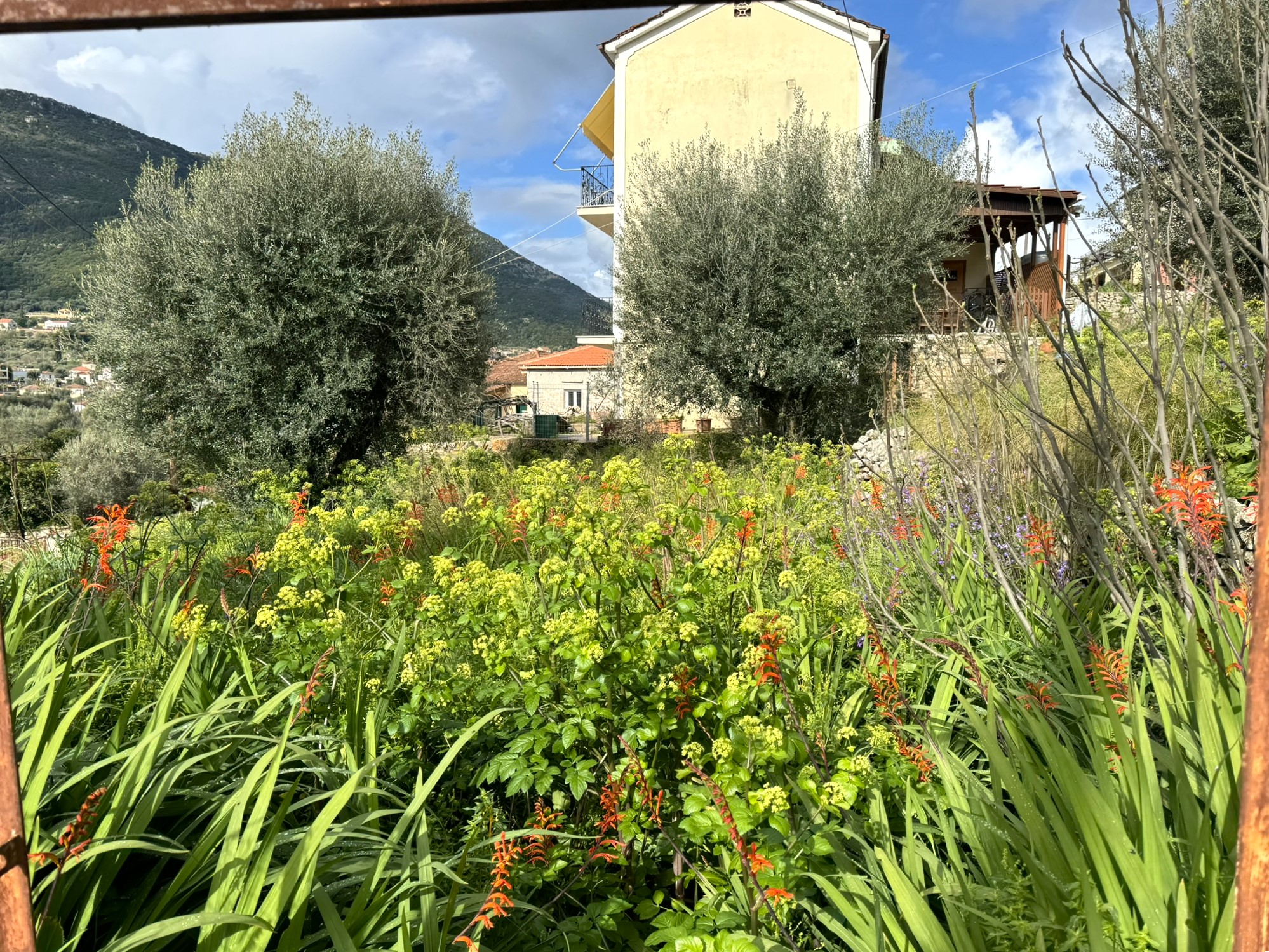 Views from land with building license for sale in Ithaca Greece, Vathi