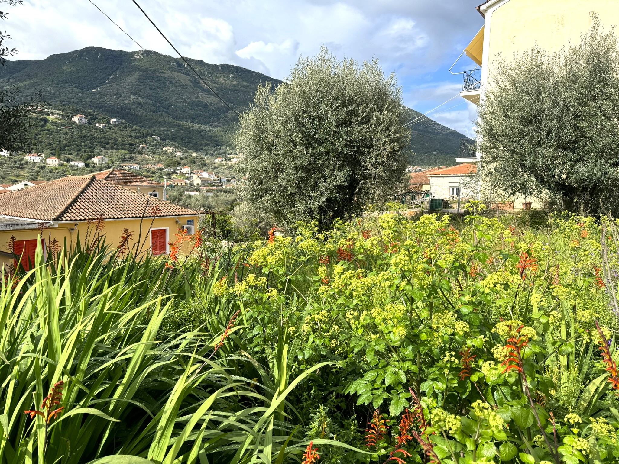 Views from land with building license for sale in Ithaca Greece, Vathi