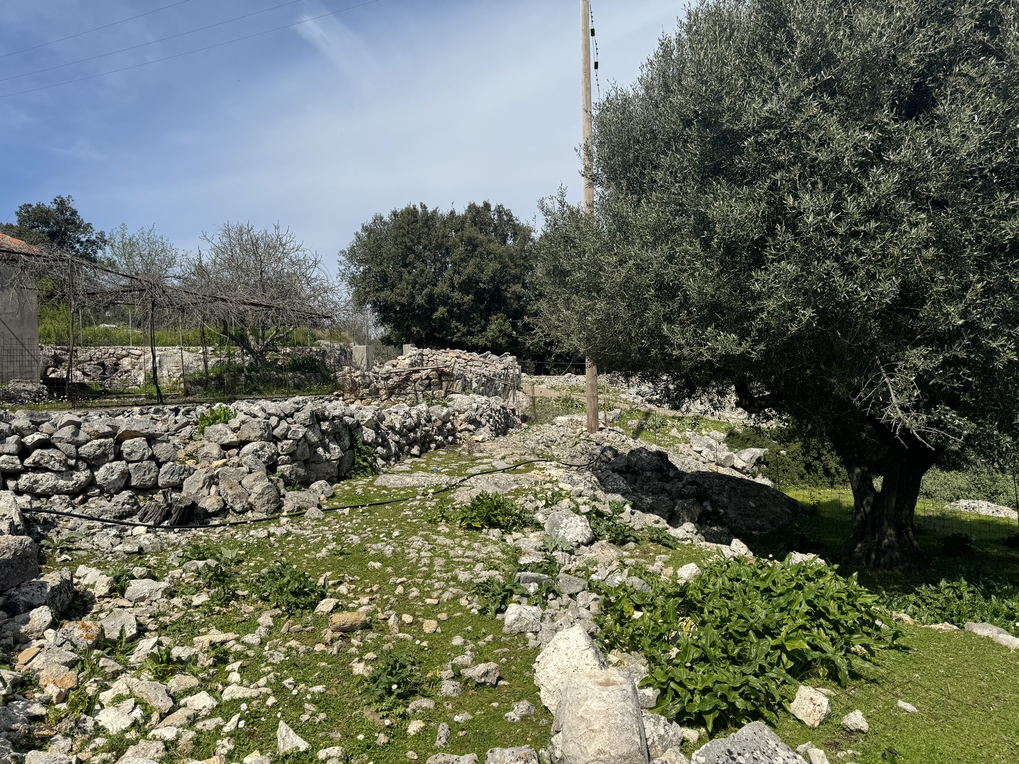 Terraced landscape of land for sale in Ithaca Greece Anoghi