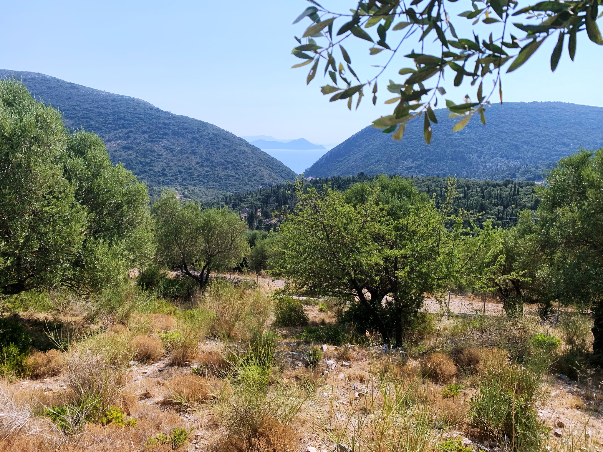 Landscape and views of land with building license for sale in Ithaca Greece Pilikata