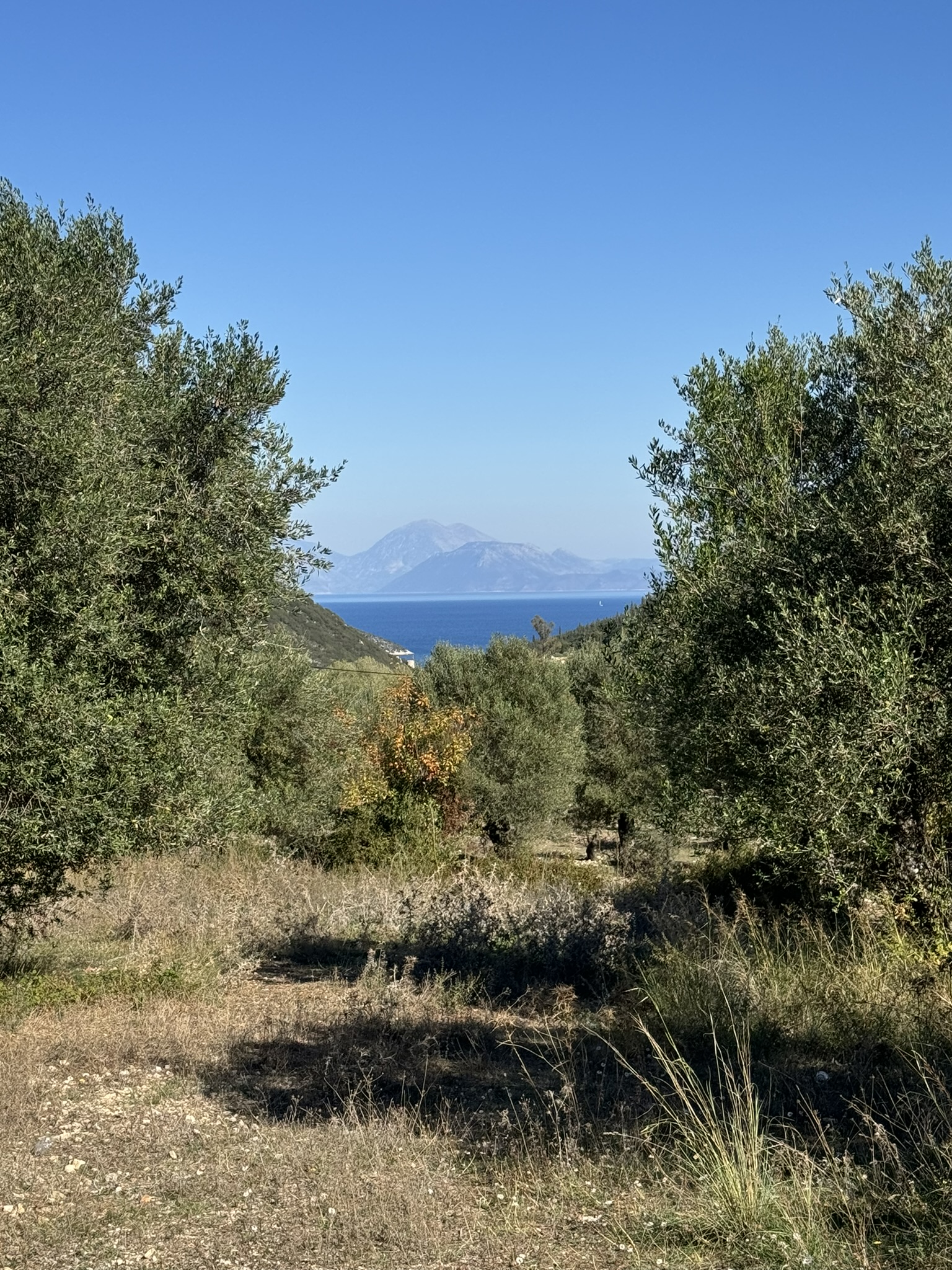 Sea views of land for sale in Ithaca Greece, Stavros