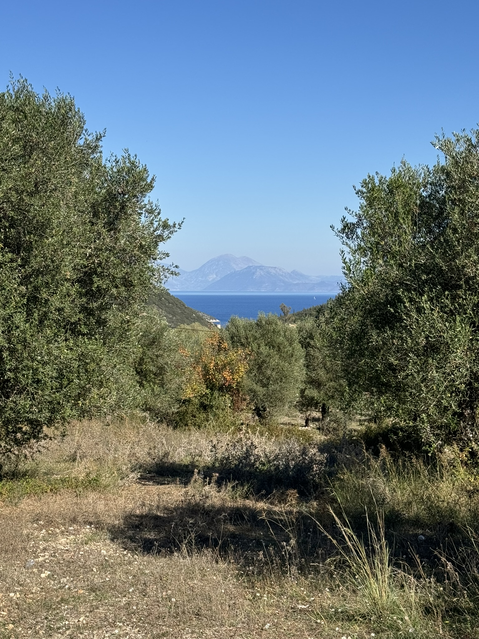 Sea views of land for sale in Ithaca Greece, Stavros