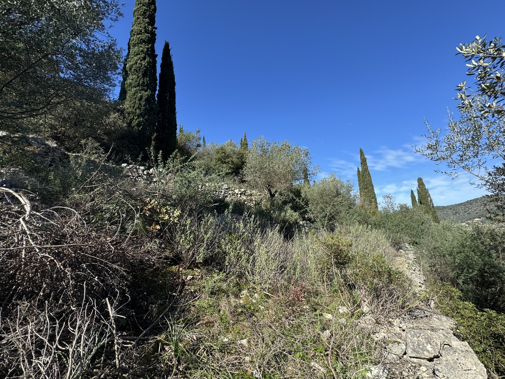 Terrain and landscape of land for sale in Ithaca Greece, Vathi