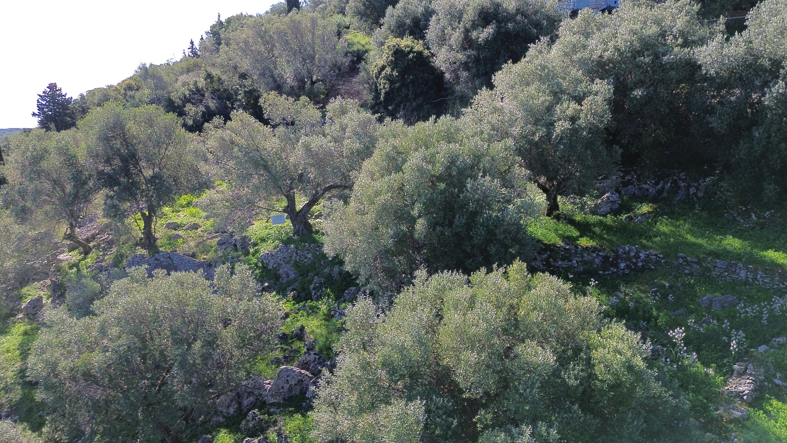 Aerial view of land for sale in Ithaca Greece, Perachori