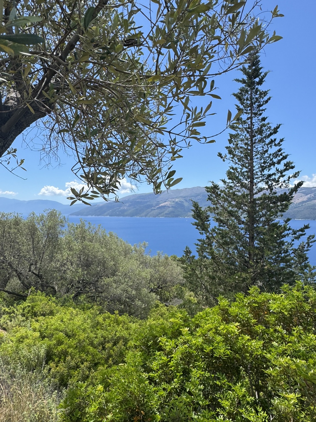 Views from land for sale in Ithaca Greece, Ag. Yiannis