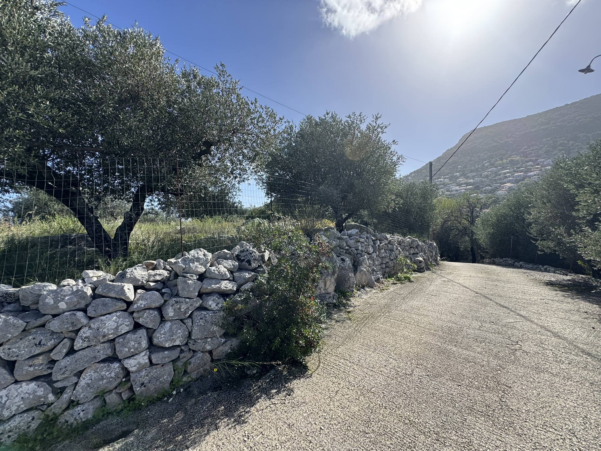 Road view of land for sale in Ithaca Greece, Perachori