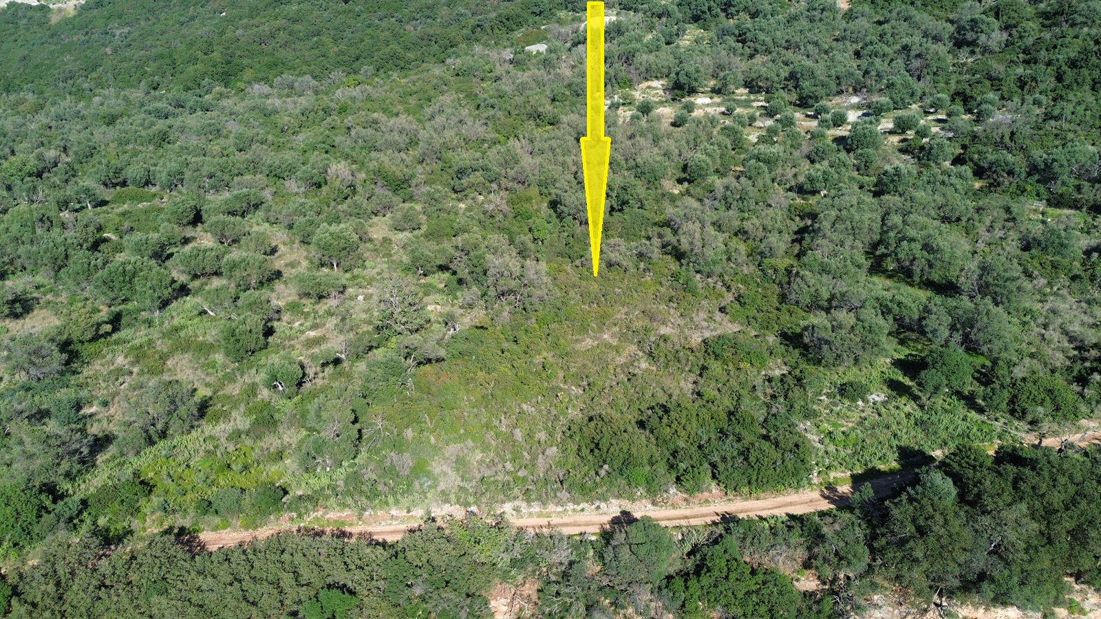 Aerial view and location of land for sale in Ithaca Greece, Stavros