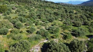 Aerial view of land for sale in Ithaca Greece, Stavros